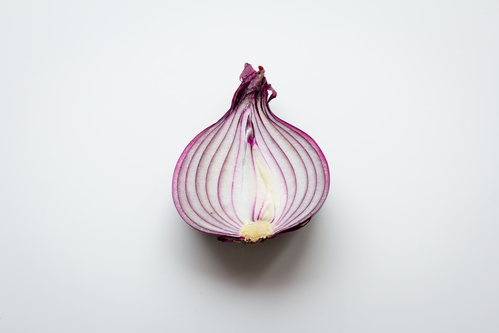 Onion "Onion"